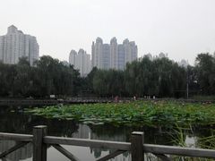 -望湖公园