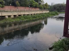 -生宇山珍野生菌汤锅•始于2002(双流古塔店)