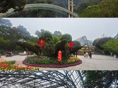 -南山植物园
