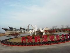 -盐城丹顶鹤湿地生态旅游区