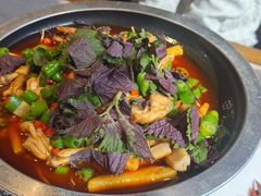 -新渝城·川菜·火锅(区庄店)