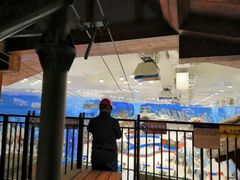 -长沙湘江冰雪世界