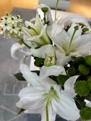 -HEYAN长风荷妍专业脱毛美肤
