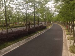 -长兴岛郊野公园农场食堂