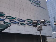 -上海海洋水族馆