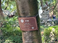 -绮园景区