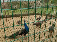 -武汉紫薇都市田园