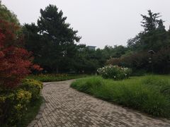 -玲珑塔公园