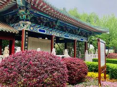 -阅江楼风景区