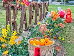 -海南清水湾莱佛士酒店