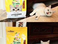 -宠物世家(仲盛世界商城店)