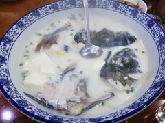-全乐鱼馆·淳牌有机鱼直营店
