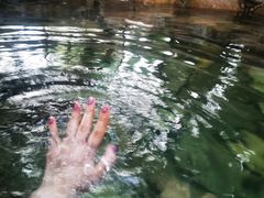 -三亚海棠湾南田温泉神龙谷