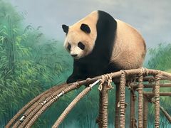 -杭州动物园