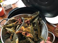 -金海椒罐罐鲢鱼(东方桂苑店)