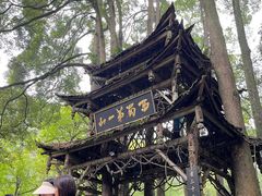 -青城山