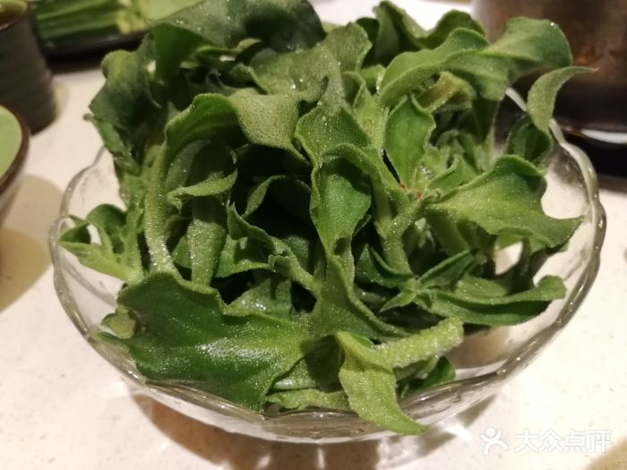 一叶一世界•素食餐厅(新光天地店)非洲冰草图片
