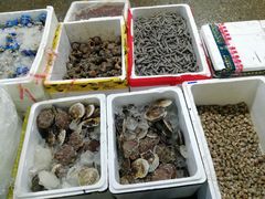 -马王堆海鲜水产市场