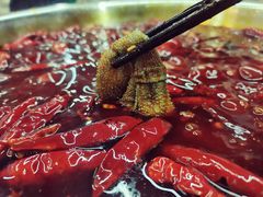 鲜毛肚-电台巷火锅(科华总店)