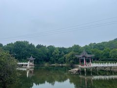 -青龙山国家森林公园