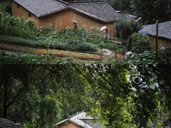 -杨家堂村