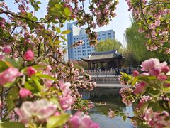 -元大都城垣遗址公园