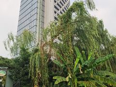 -天鹅湖大酒店