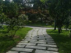 -广州市帽峰山景区