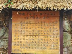 -西双版纳基诺山寨