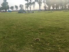 -滆湖低碳生态公园