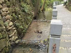 -十八棵（老龙井）御茶园(老龙井店)