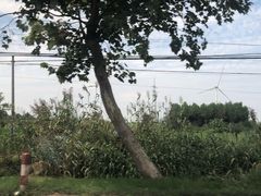 -重庆海昌加勒比海水世界