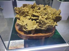 -中国第四纪冰川遗迹陈列馆