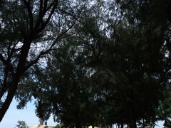 -崇武古城风景区
