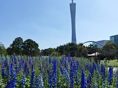 -二沙岛艺术公园