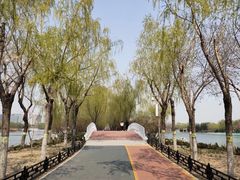 -大兴滨河森林公园