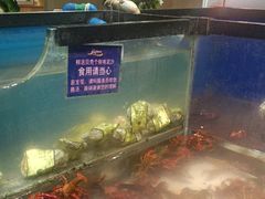 -遇上西雅图多融合海鲜自助餐厅(中房金谊广场店)