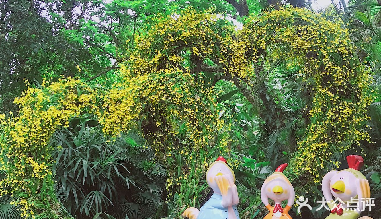 周末放假肯定要去逛公园呀