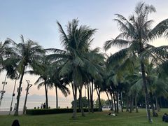 -深圳湾公园(南山区)
