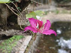 -广东温泉宾馆