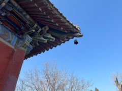 -洛阳白马寺