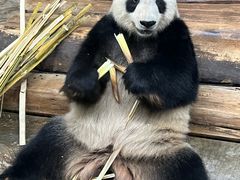 -海南热带野生动植物园