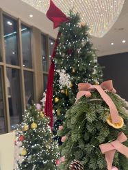 -花嫁丽舍海岛婚礼殿堂(国展店)