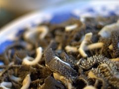百叶-东兴顺爆肚张