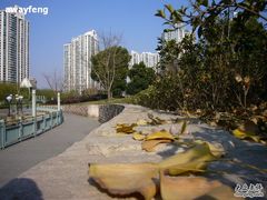 -苏州河梦清园环保主题公园