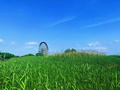 -太湖湖滨国家湿地公园-停车场