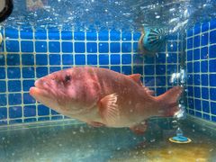 -一江春水·杭帮臻宴(三台山店)