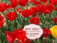 -江南大学(蠡湖校区)