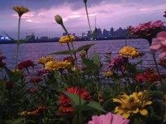 -艾溪湖湿地公园