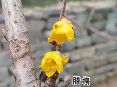-颐和园